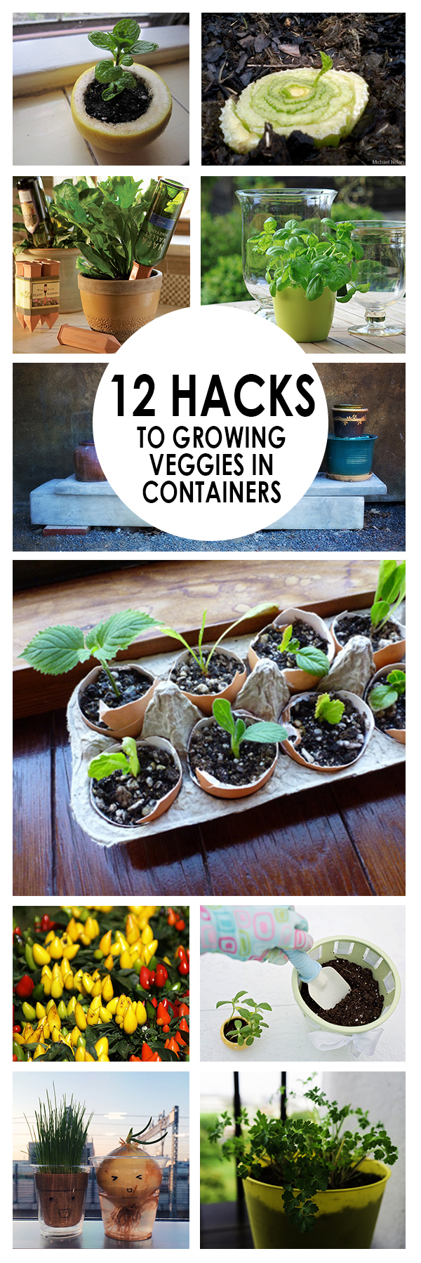 12 Gardening Hacks to Growing Veggies in Containers ~ Bees and Roses