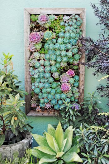 10 Gorgeous Hanging Garden Ideas ~ Bees and Roses