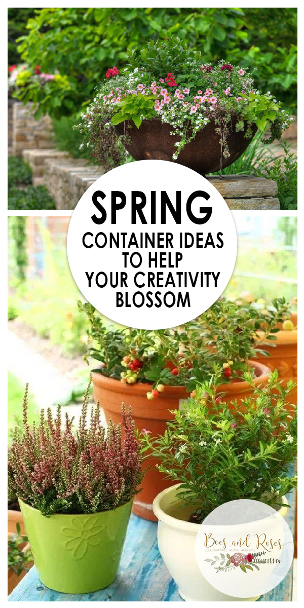 Spring Container Ideas to Help Your Creativity Blossom Bees and Roses