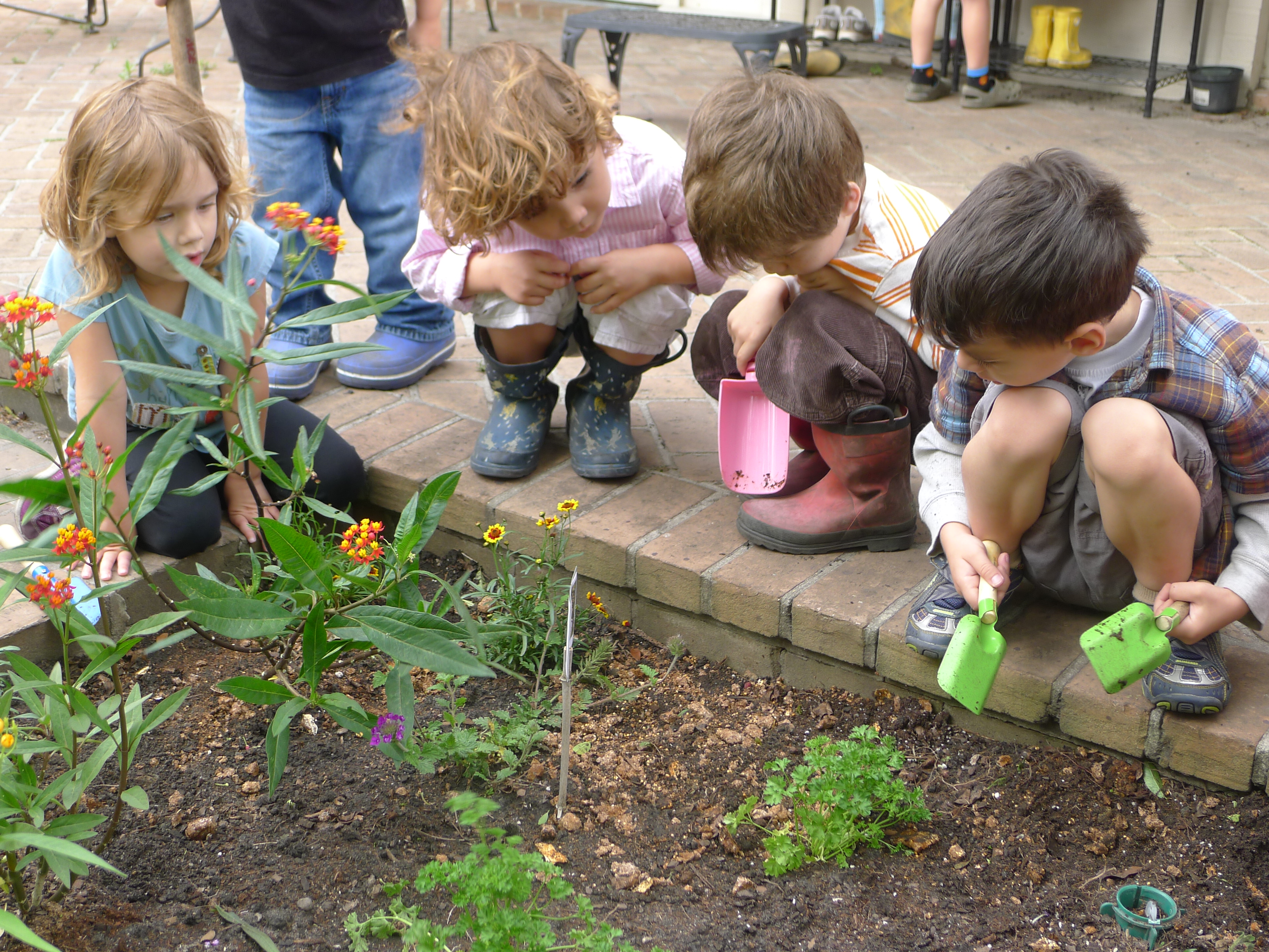 Дети посадили огород. Детский огород в детском саду. Огород для детей в детском саду. Посадка растений в детском саду. Грядка для детей.