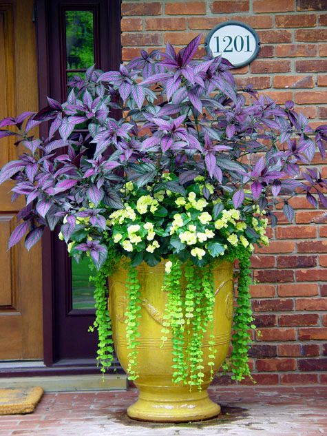 27 Flowerpots that Will Brighten Up Your Front Porch ~ Page 6 of 28 ...