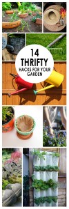 14 Thrifty Gardening Hacks ~ Bees And Roses