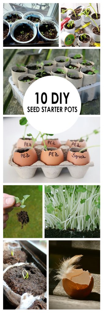 10 DIY Seed Starter Pots ~ Bees and Roses