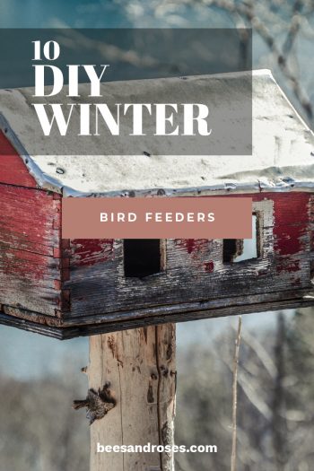diy bird feeder winter