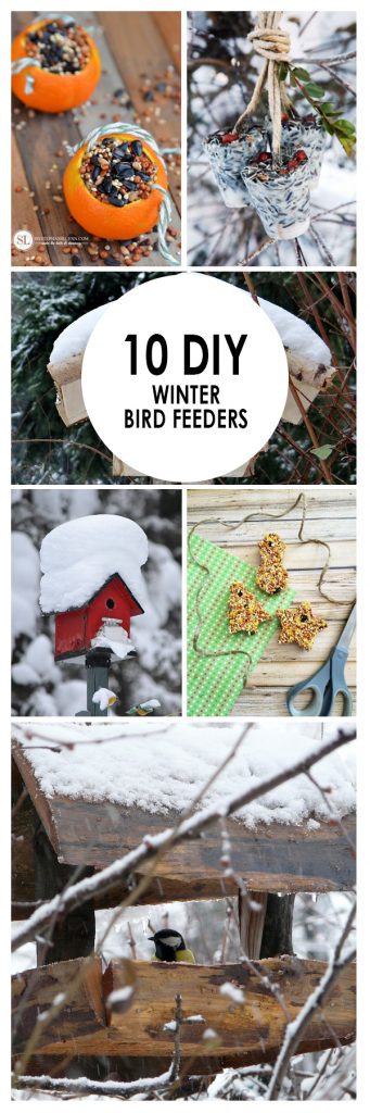 10 diy winter bird feeders ~ bees and roses