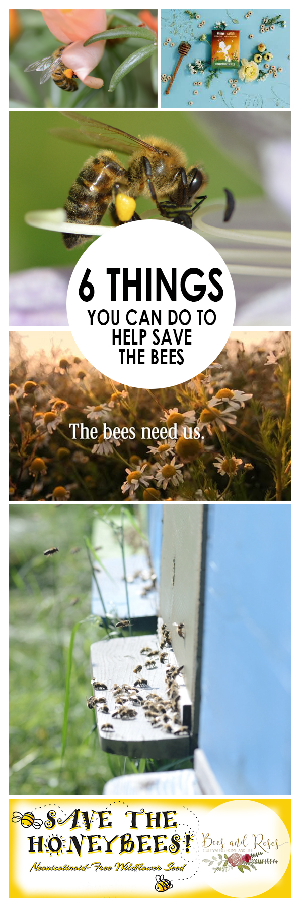 6 Things You Can Do To Help Save The Bees ~ Bees and Roses