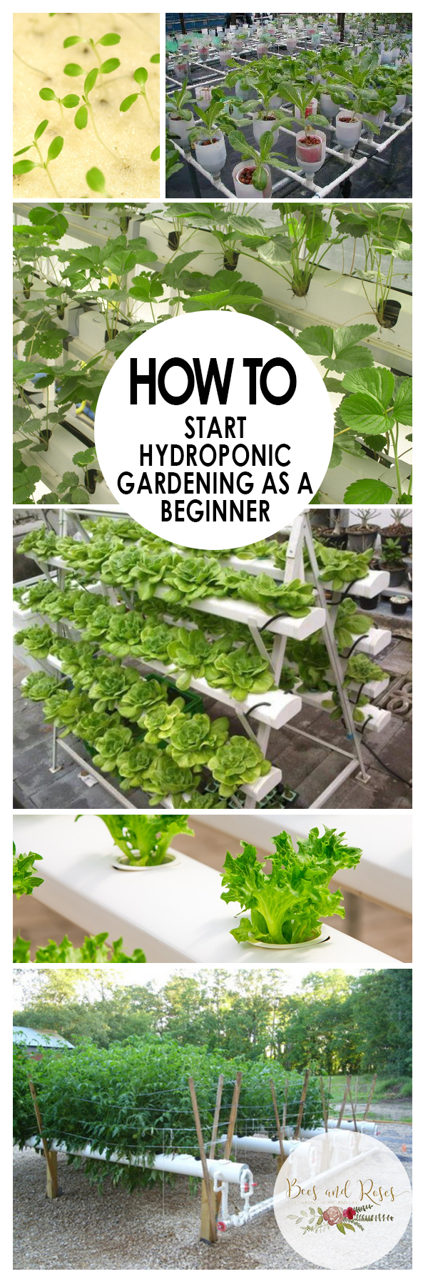 How To Start Hydroponic Gardening As A Beginner ~ Bees And Roses