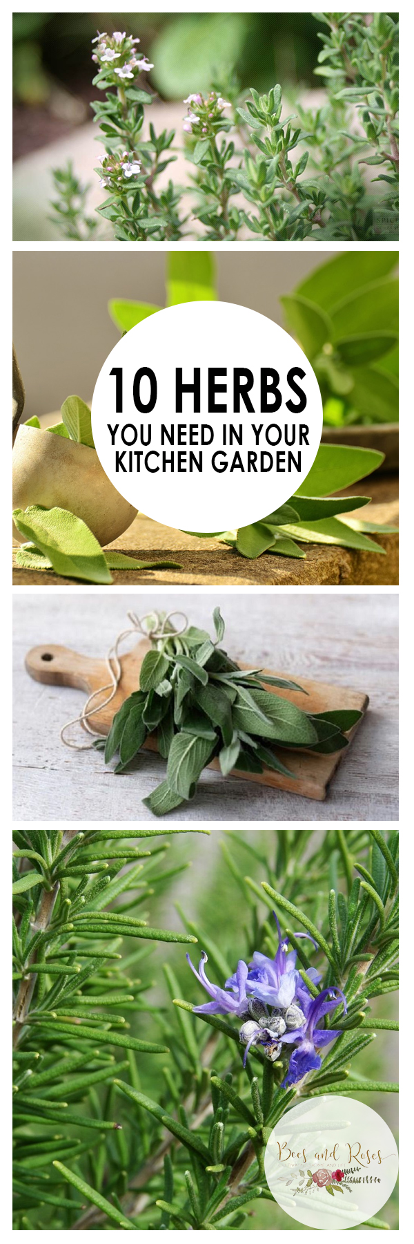 10 Herbs You Need in Your Kitchen Garden — Bees and Roses. Gardening ...