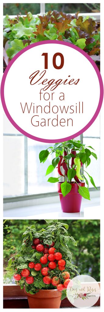 10 Veggies For A Windowsill Garden Bees And Roses