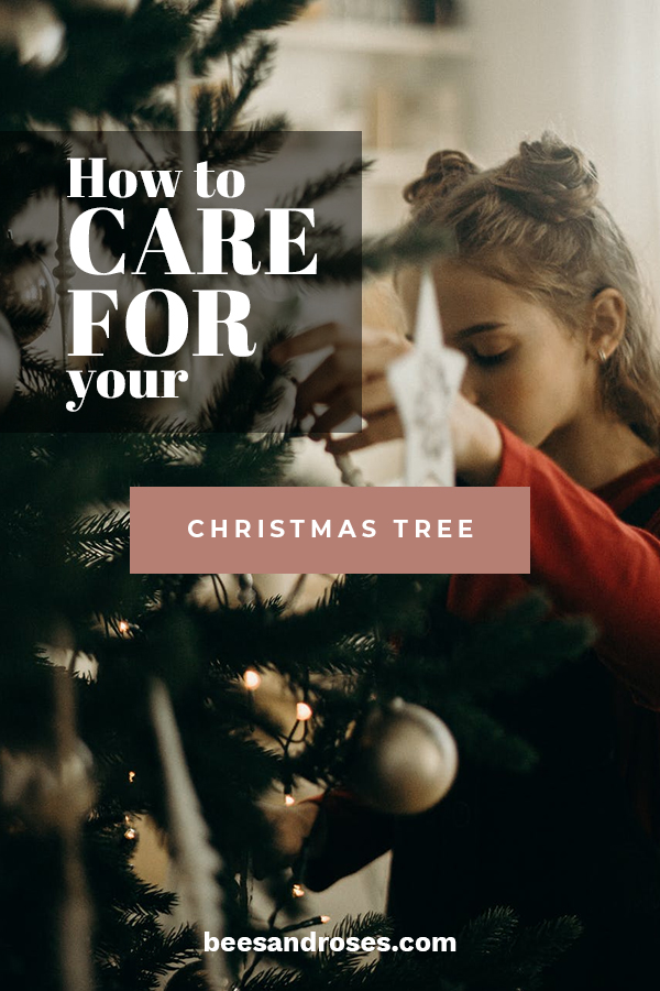 How to Care for Your Christmas Tree Bees and Roses