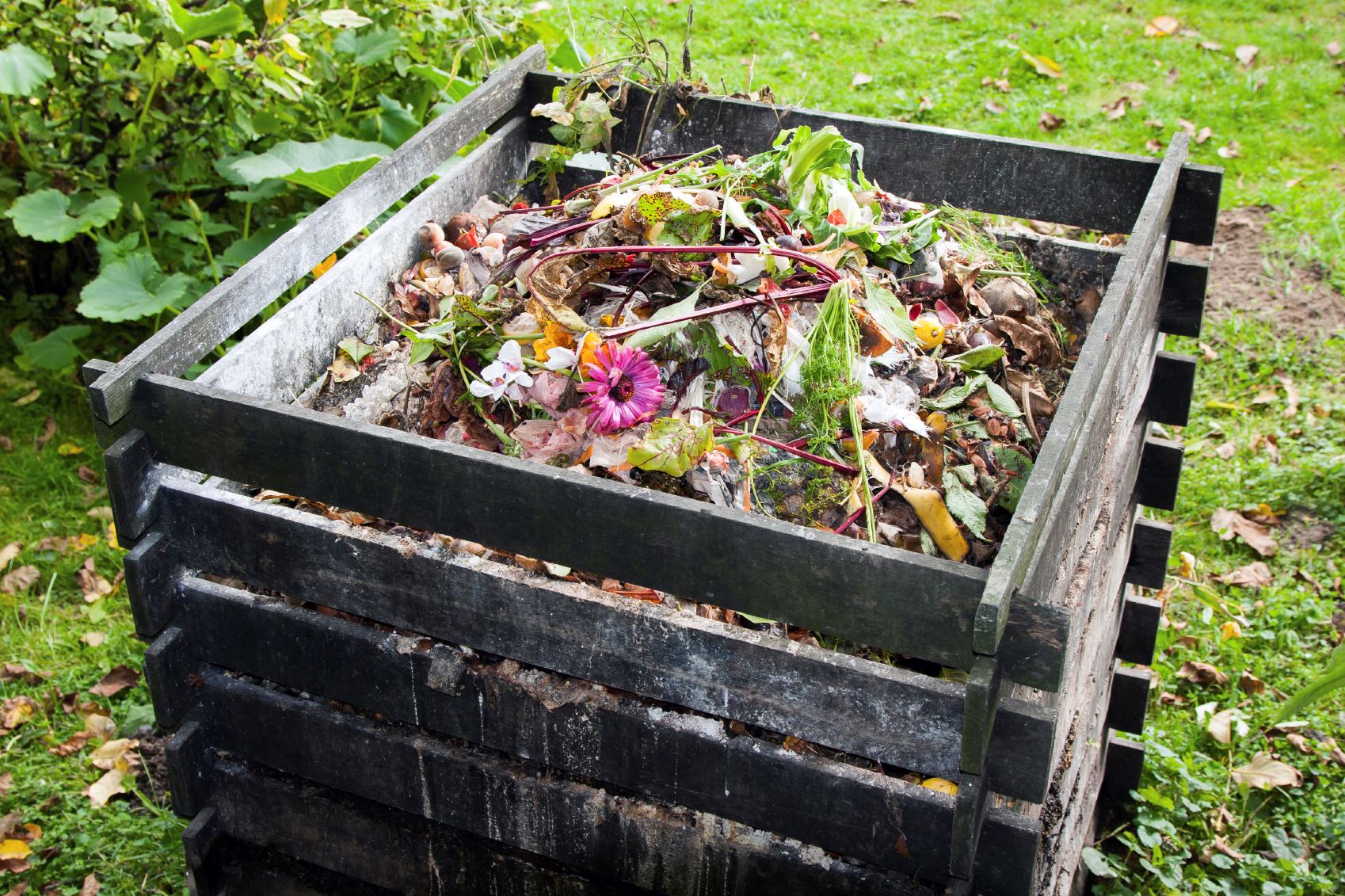 how-to-start-composting-for-beginners-bees-and-roses