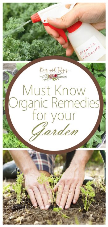 garden remedies newton