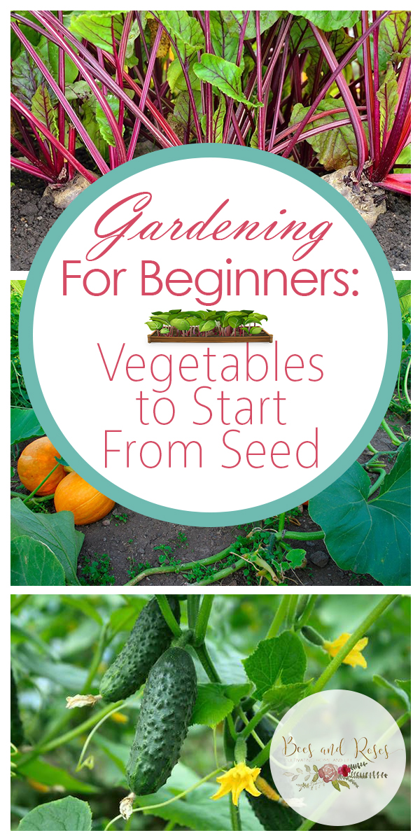 Vegetables To Start From Seed- Gardening For Beginners