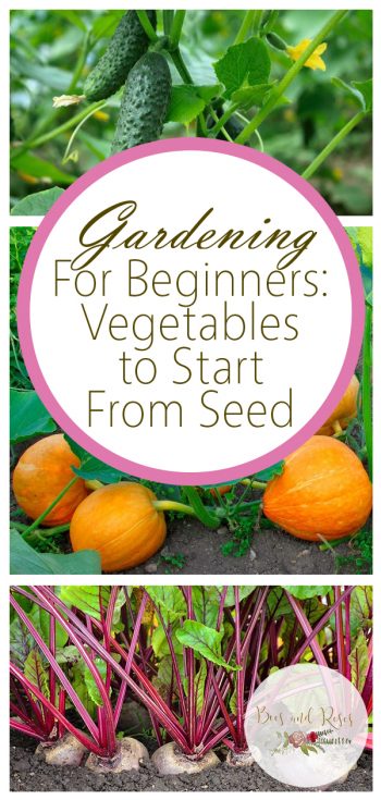 Gardening For Beginners: Vegetables to Start From Seed ~ Bees and Roses