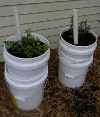 Diy Potato Planter Plan Bees And Roses