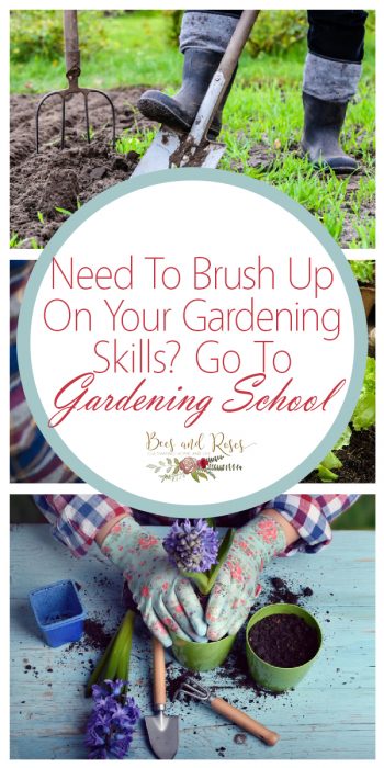 Need To Brush Up On Your Gardening Skills? Go To Gardening School ...