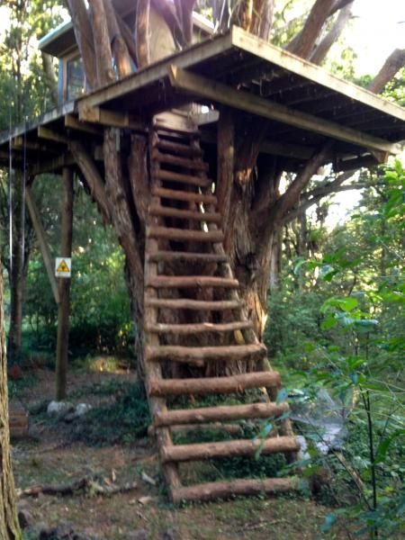 DIY Treehouse Ideas ~ Bees and Roses