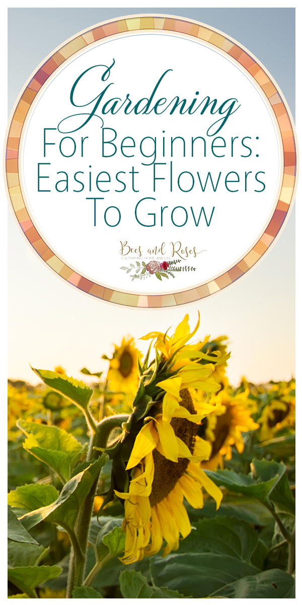 Gardening For Beginners: Easiest Flowers To Grow ~ Bees and Roses