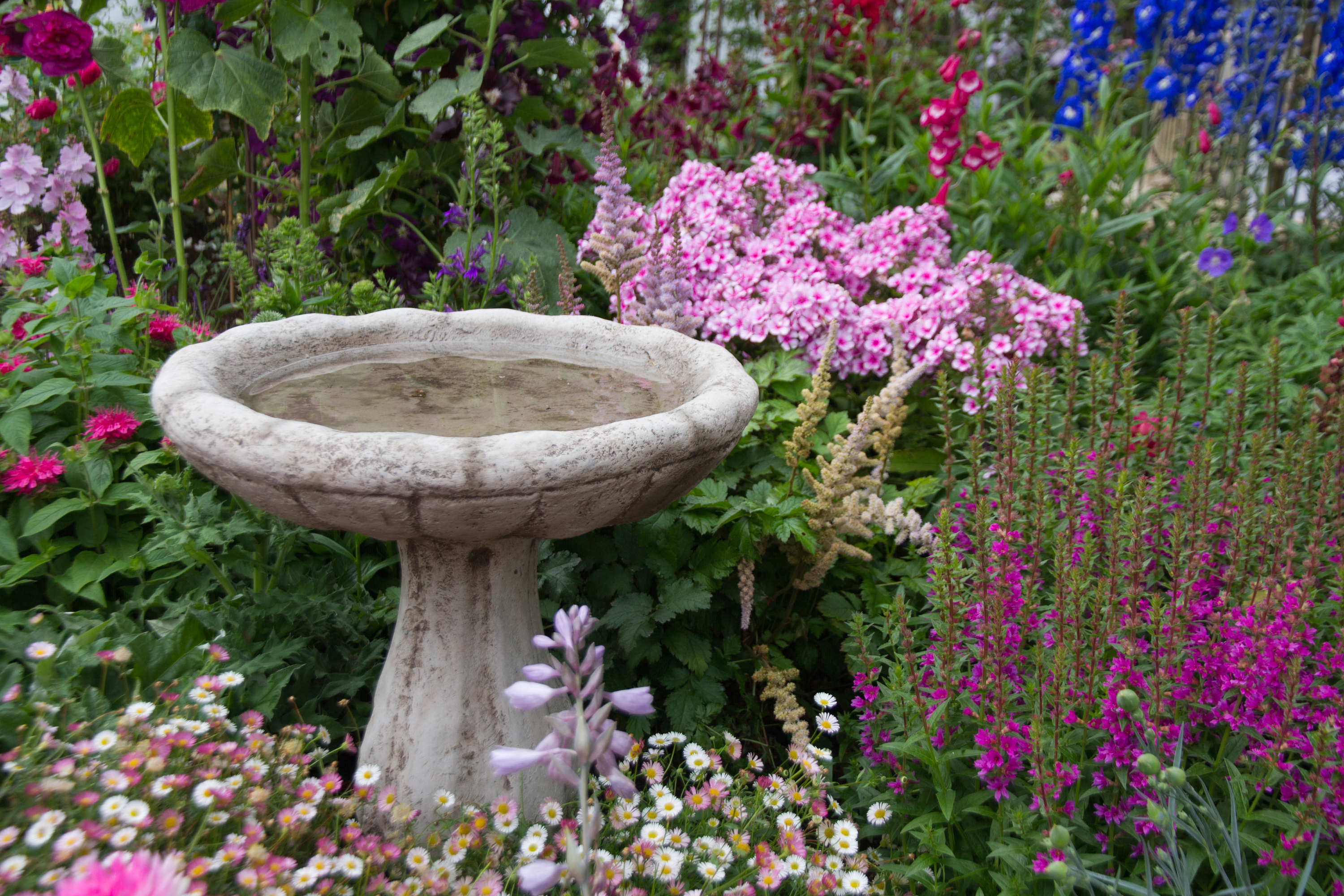 What Every Cottage Garden Needs Bees And Roses