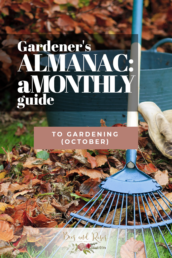 Gardener's Almanac A Monthly Guide To Gardening (October)
