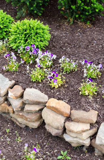 Backyard Landscaping Ideas: Simple - Landscaping - Beesandroses.com